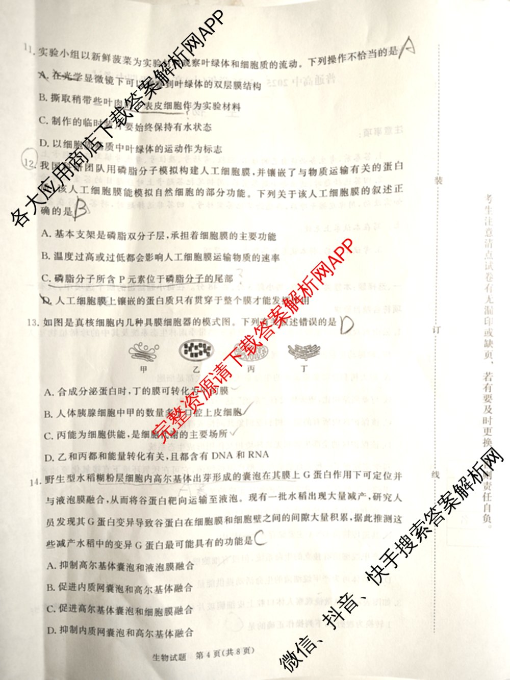 青桐鸣2028届普通高等学校招生全国统一考试青桐鸣大联考(高一)(11.17)各科答案及试卷: 含物理 生物 语文试卷解析生物试题