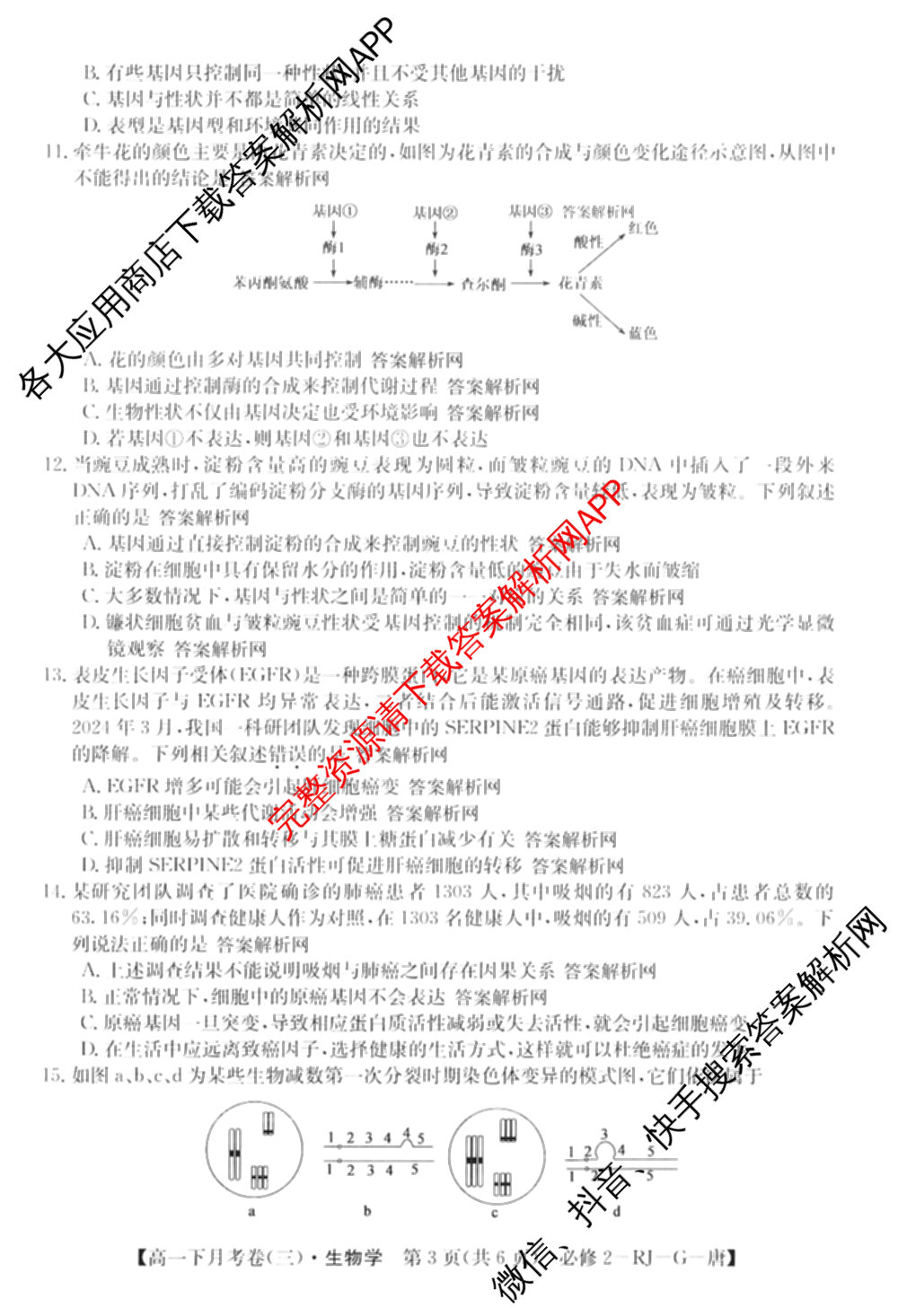 2025~2026全国名校高一下学期第三次月考试卷试卷及答案汇总（含生物学(必修2-RJ-G-唐) 地理(必修第二册-LJ-G-唐) 数学(必修第二册-RJA-X-F-H-唐)等10份）生物试题