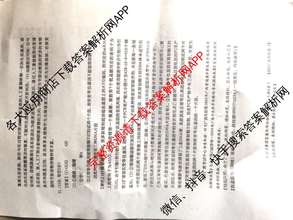 广西名校高考模拟试卷第一次调研考试[2025广西名校卷-3]试卷及答案汇总（含生物、政治、物理等）生物答案