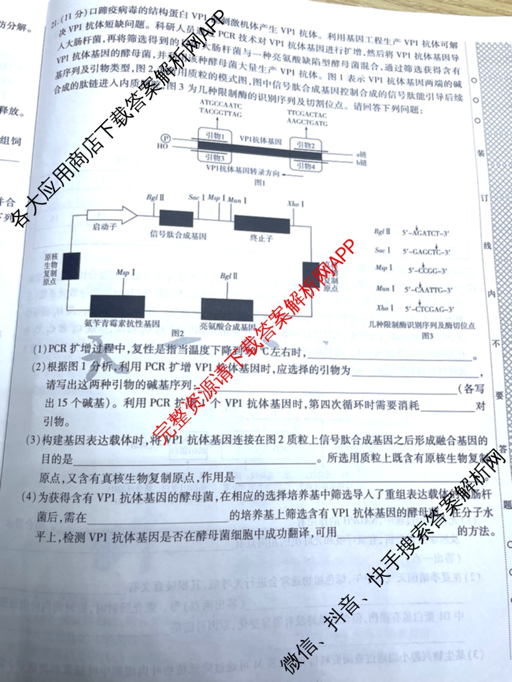 天一大联考2025届高考全真模拟卷(五)各科答案及试卷(已更新政治(河南专版)、生物(安徽专版)、英语(新高考)等37份)生物试题