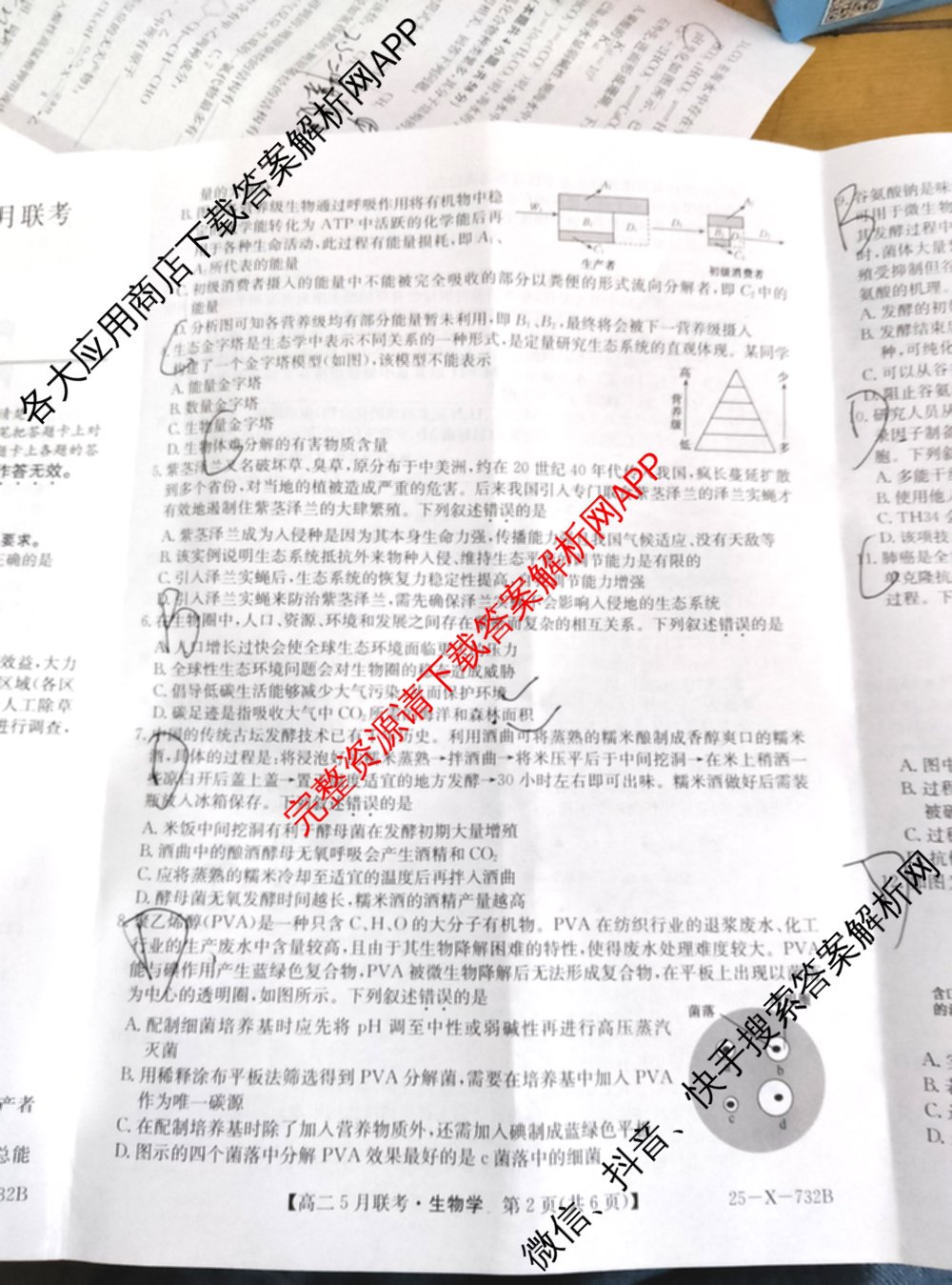 [安徽县中联盟]2024~2025学年度第二学期高二5月联考(25-X-732B)（含历史 数学(A卷) 化学(A卷)等）生物试题