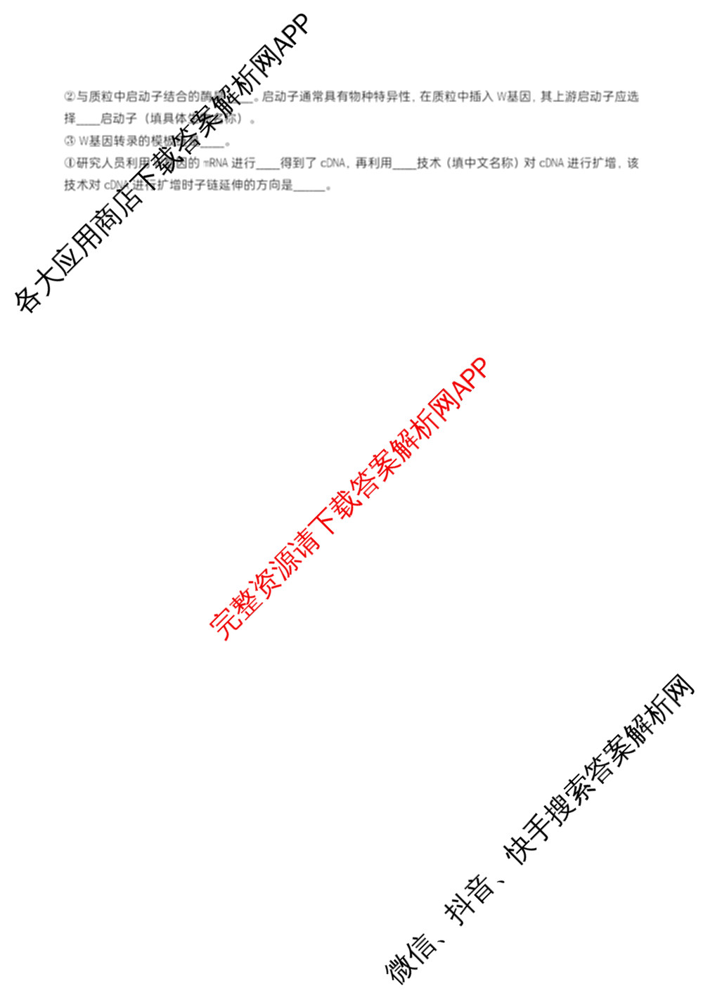 江苏省扬州市高邮市2025-2026学年第一学期高三10月学情调研测试2025.10(含语文 英语 历史等)生物试题 江苏省扬州市高邮市2025-2026学年第一学期高三10月学情调研测试2025.10(含语文 英语 历史等)生物试题