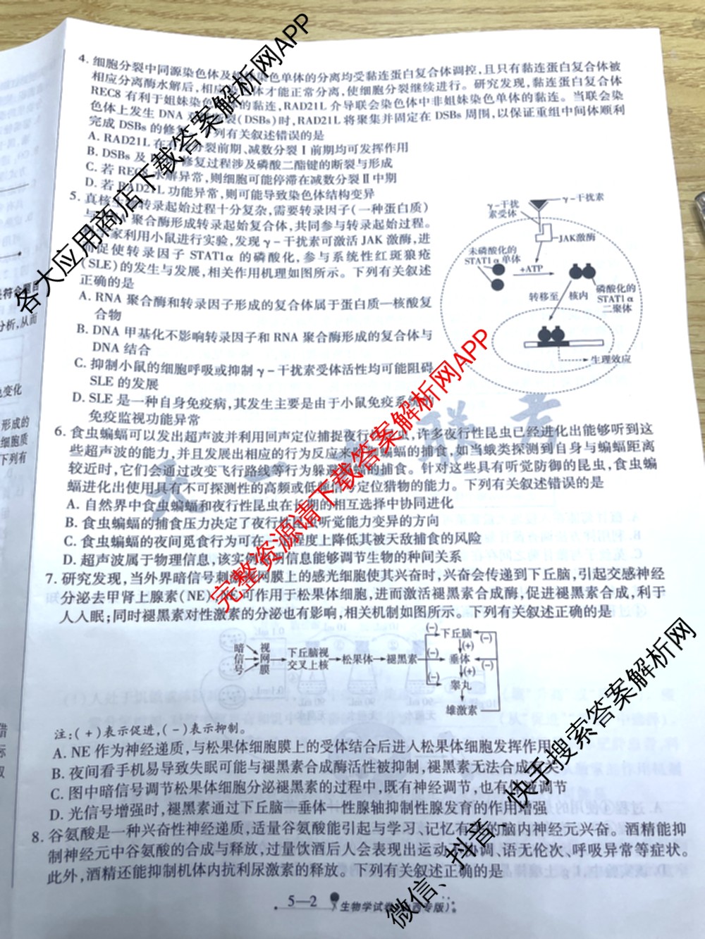 天一大联考2025届高考全真模拟卷(五)各科答案及试卷(已更新政治(河南专版)、生物(安徽专版)、英语(新高考)等37份)生物试题