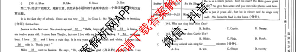 陕西省2024-2025学年度七年级第一学期期中调研试题(卷)试卷及答案汇总（17科全）英语试题