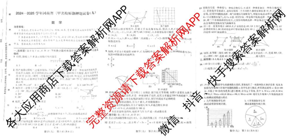 2024-2025学年河南省三甲名校原创押题试卷(九)各科答案及试卷（7科全）数学试题