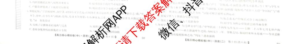 九师联盟2025~2026学年高三核心模拟卷(中)(二)试卷及答案汇总（含历史(A1)、物理(A)、物理(D1)等）历史试题