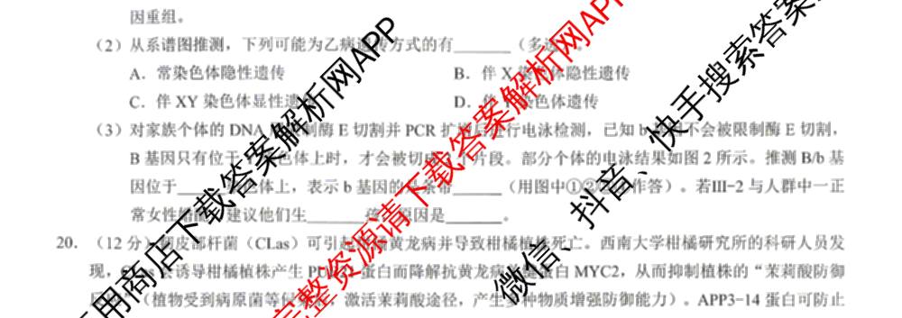 [康德二诊]重庆康德2026年重庆市普通高中学业水选择性考试高三第二次联合诊断检测(已更新语文 政治 英语等11份)生物试题