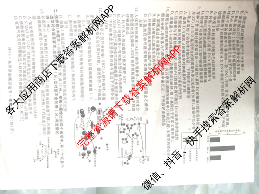 2026届高三总复名师原创模拟(五)5各科答案及试卷: 含政治(CQX6) 地理(CQX6) 生物(GDX6)试卷解析生物试题