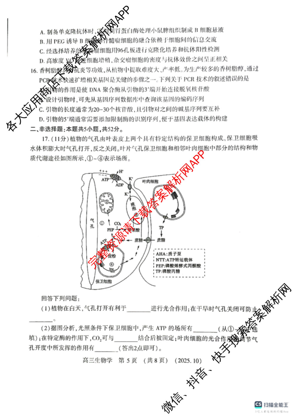 豫西北教研联盟(洛许济)2025-2026学年高三第一次质量检测试卷及答案汇总: 含历史 地理 生物试卷解析生物试题