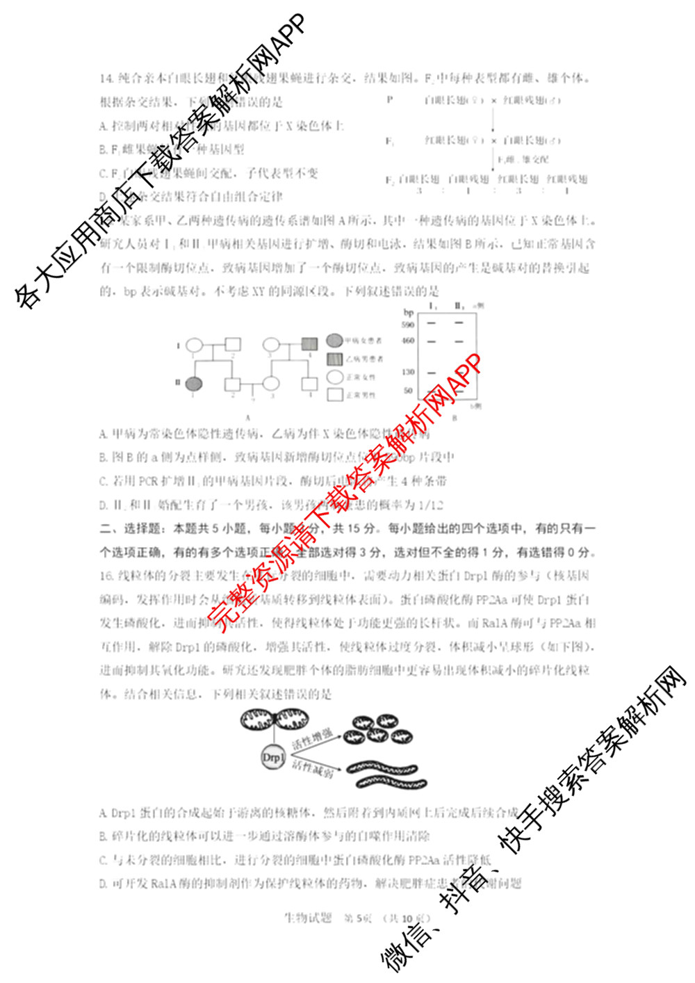 山东师范大学附属中学2026届高三年级10月份阶段性检测(含地理、生物、语文等)生物试题 山东师范大学附属中学2026届高三年级10月份阶段性检测(含地理、生物、语文等)生物试题