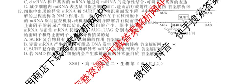 名校联考2026届高三总复月考卷(二)2各科答案及试卷(含语文(XS6G) 化学(XS6J) 历史(XS6J)等)生物试题 名校联考2026届高三总复月考卷(二)2各科答案及试卷(含语文(XS6G) 化学(XS6J) 历史(XS6J)等)生物试题
