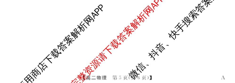 2024-2025学年福建百校高二期末考试(7月)(已更新数学(A)、物理(A)、语文(A)等9份)物理试题