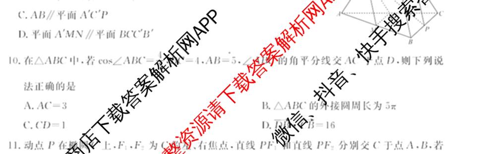 2026年普通高等学校招生全国统一考试模拟信息卷(二)2(已更新政治(XGK-A)、物理(XGK-B)、语文(XGK-A)等13份)数学试题