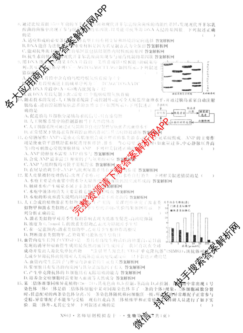 2026届高三总复名师原创模拟(十一)11试卷及答案汇总（含历史(XS6J) 历史(CQX6) 生物(HN6)等）生物试题