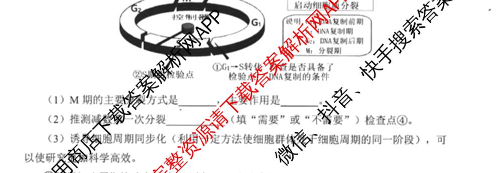 [绵阳一诊]绵阳市高中2023级第一次诊断性考试试卷及答案汇总（含化学 历史 物理等）生物试题