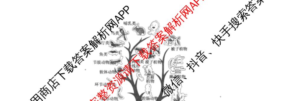 衡水金卷2025-2026学年度高三年级适应性测试(二)试卷及答案汇总（含化学 数学 生物等9份）生物试题