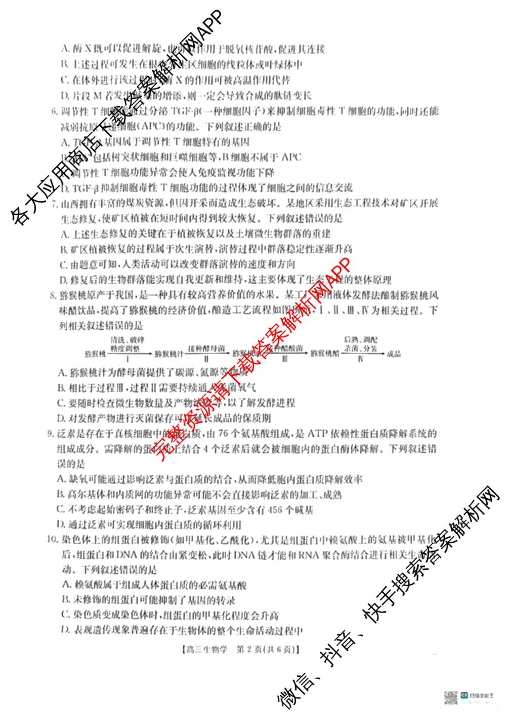 2026届广西高三年级12月联合考试(12.23)试卷及答案汇总: 含生物 数学 英语试卷解析生物试题