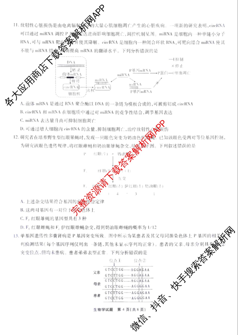 江淮十校2026届高三第一次联考(2025.8)各科答案及试卷（含语文、化学、历史等9份）生物试题