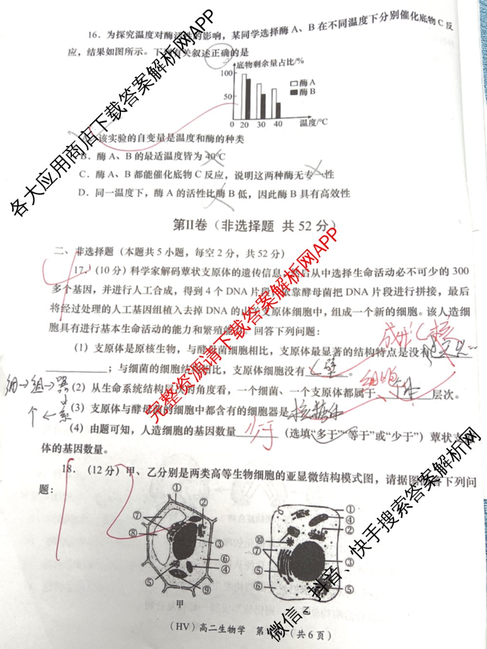 陕西省2025-2026学年度第二学期阶段学业能力自测高二各科答案及试卷（含政治 生物(HV) 化学(HV)等）生物试题