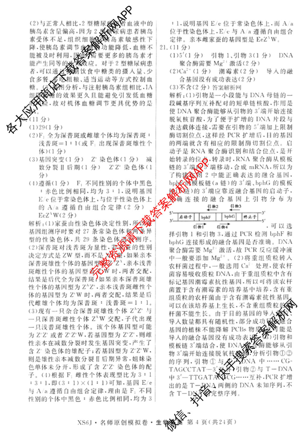 2026届高三总复名师原创模拟(七)7试卷及答案汇总（含地理(XS6J) 生物(XS6JG) 英语(新S6)等）生物答案