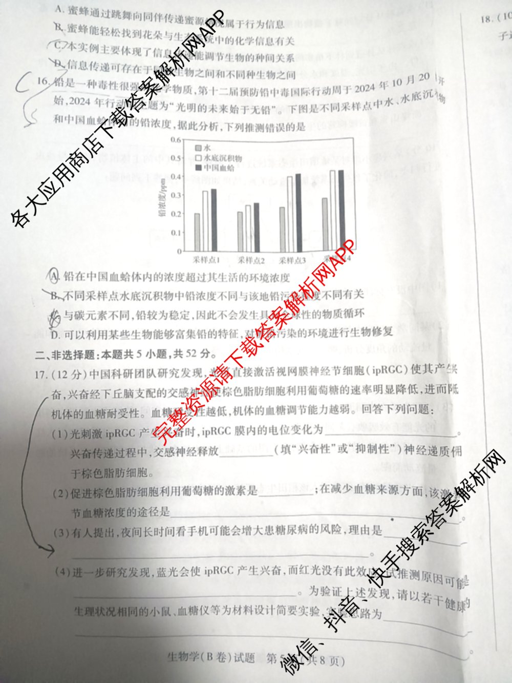 天一大联考2024-2025学年高二年级阶段性测试(二)2（含化学、政治(B卷)、语文等）生物试题