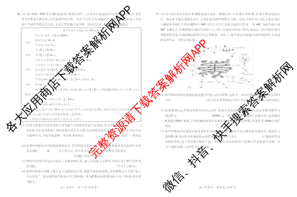 上进联考江西省2025-2026学年度上学期12月学情检测高一试卷及答案汇总（9科全）生物试题