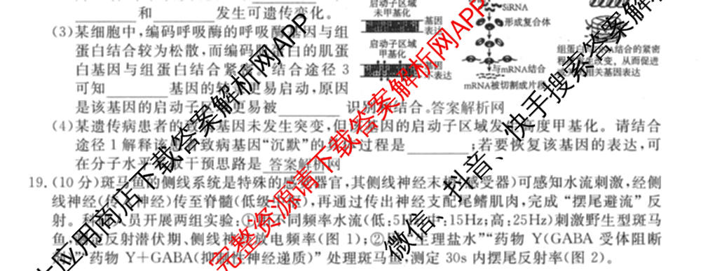 2026普通高等学校招生全国统一考试冲刺押题卷(三)3试卷及答案汇总（15科全）生物试题