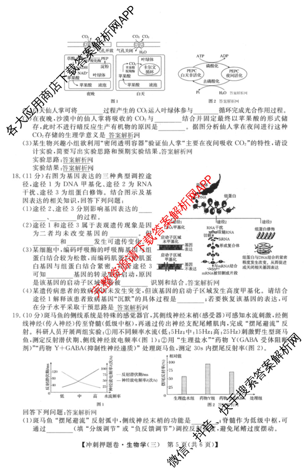 2026普通高等学校招生全国统一考试冲刺押题卷(三)3试卷及答案汇总（含生物(AC)、物理、数学(A)等）生物试题