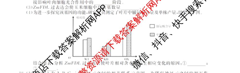 三重教育2026届山西省高三12月联考(无标题)试卷及答案汇总（10科全）生物试题