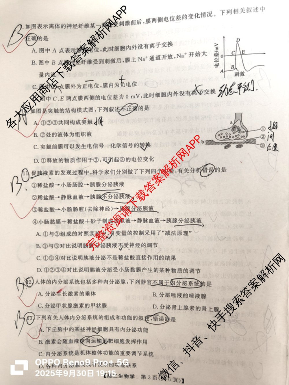 陕西省2025年~2026年度高二第一次考试(9月)(已更新历史 地理 数学等9份)生物试题