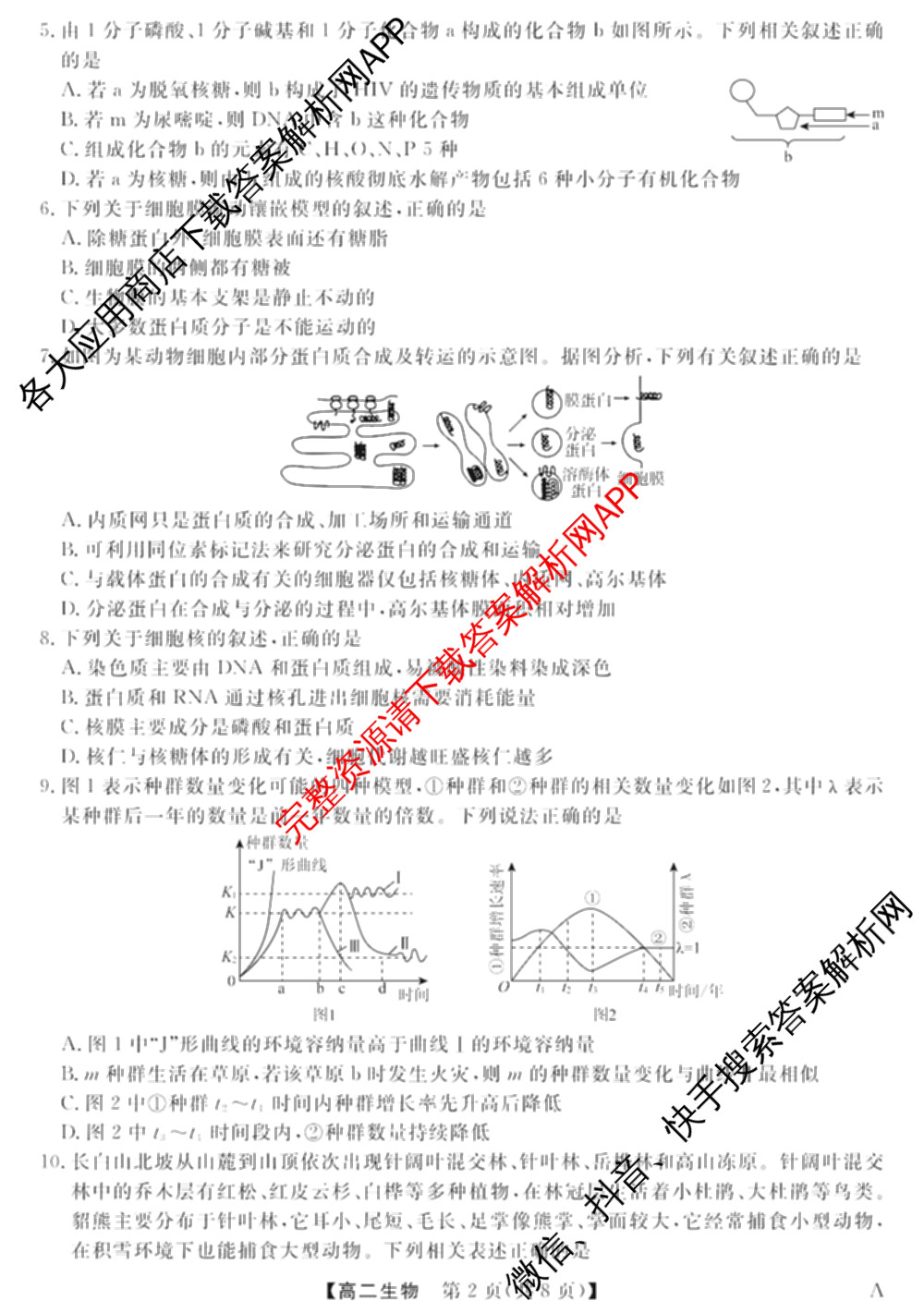 2024-2025学年福建百校高二期末考试(7月)(已更新数学(A)、物理(A)、语文(A)等9份)生物试题