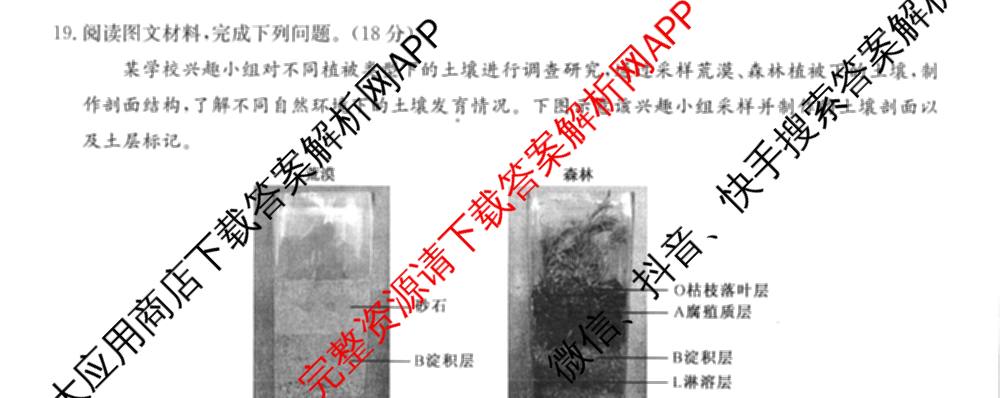 2025-2026学年度高一高中同步月考测试卷(三)各科答案及试卷: 含数学(必修第一册 RJ) 化学(必修第一册 RJ) 语文(必修上册)试卷解析地理试题