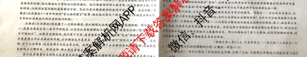 桂柳文化2025届高考桂柳鸿图模拟金卷(一)1试卷及答案汇总（含物理 语文 政治等）语文试题