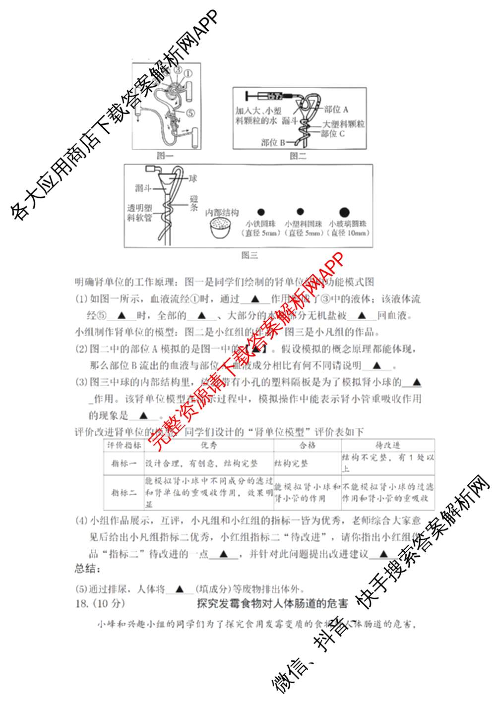 运城市2025~2026学年八年级第二次阶段性考试试卷及答案汇总(已更新物理 地理 生物等8份)生物试题