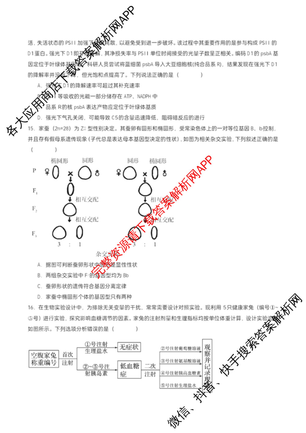石家庄市第一中学2025-2026学年度第一学期高三年级期中考试（含政治、数学、生物等9份）生物试题