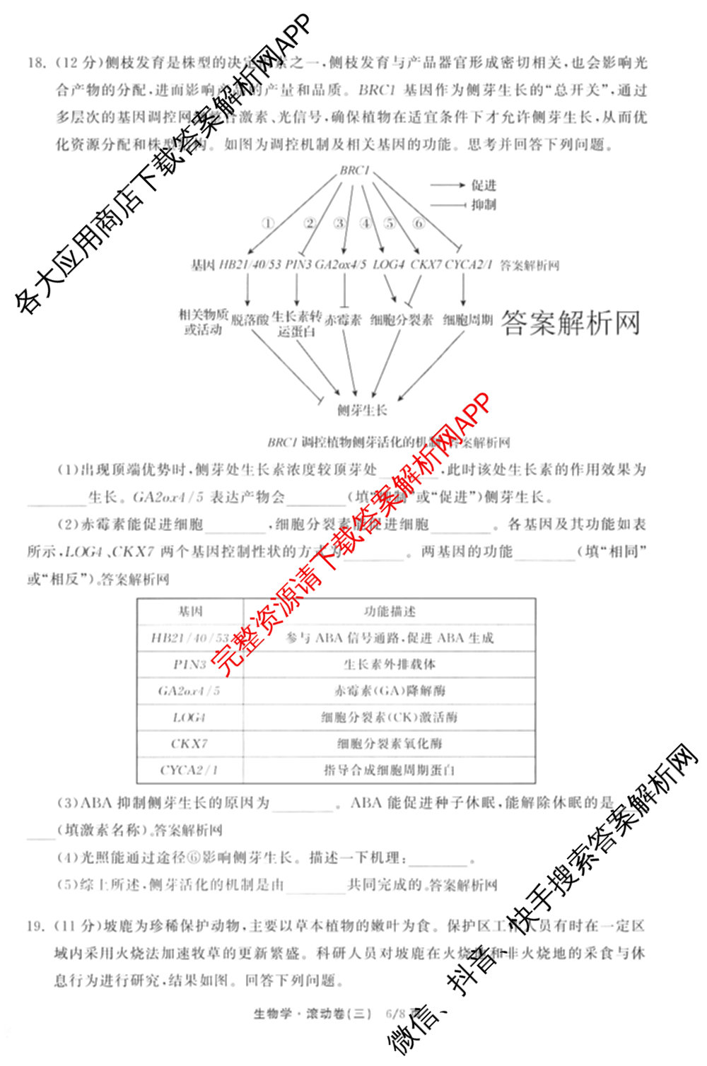 衡中同卷2025-2026学年度高三复滚动卷(三)3试卷及答案汇总（含地理(JY) 物理(HJ) 生物(DS)等21份）生物试题
