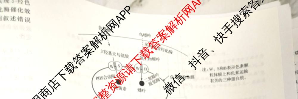 衡中同卷2025-2026学年度高三复滚动卷(五)5各科答案及试卷（含化学(LE)、物理(HJ)、英语(B)等22份）生物试题