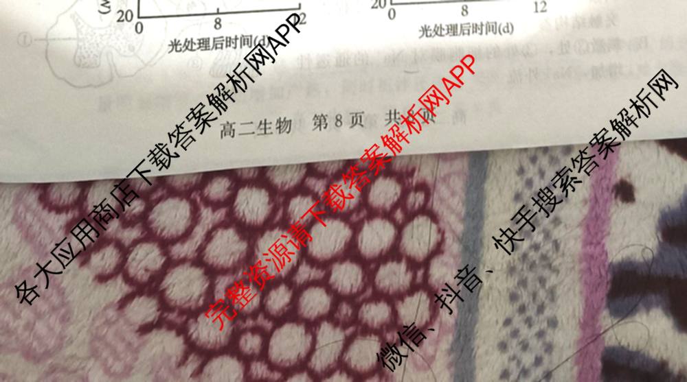 NT河北省2025-2026学年第一学期高二年级11月期中考试(一)各科答案及试卷（含政治 生物 物理等10份）生物试题