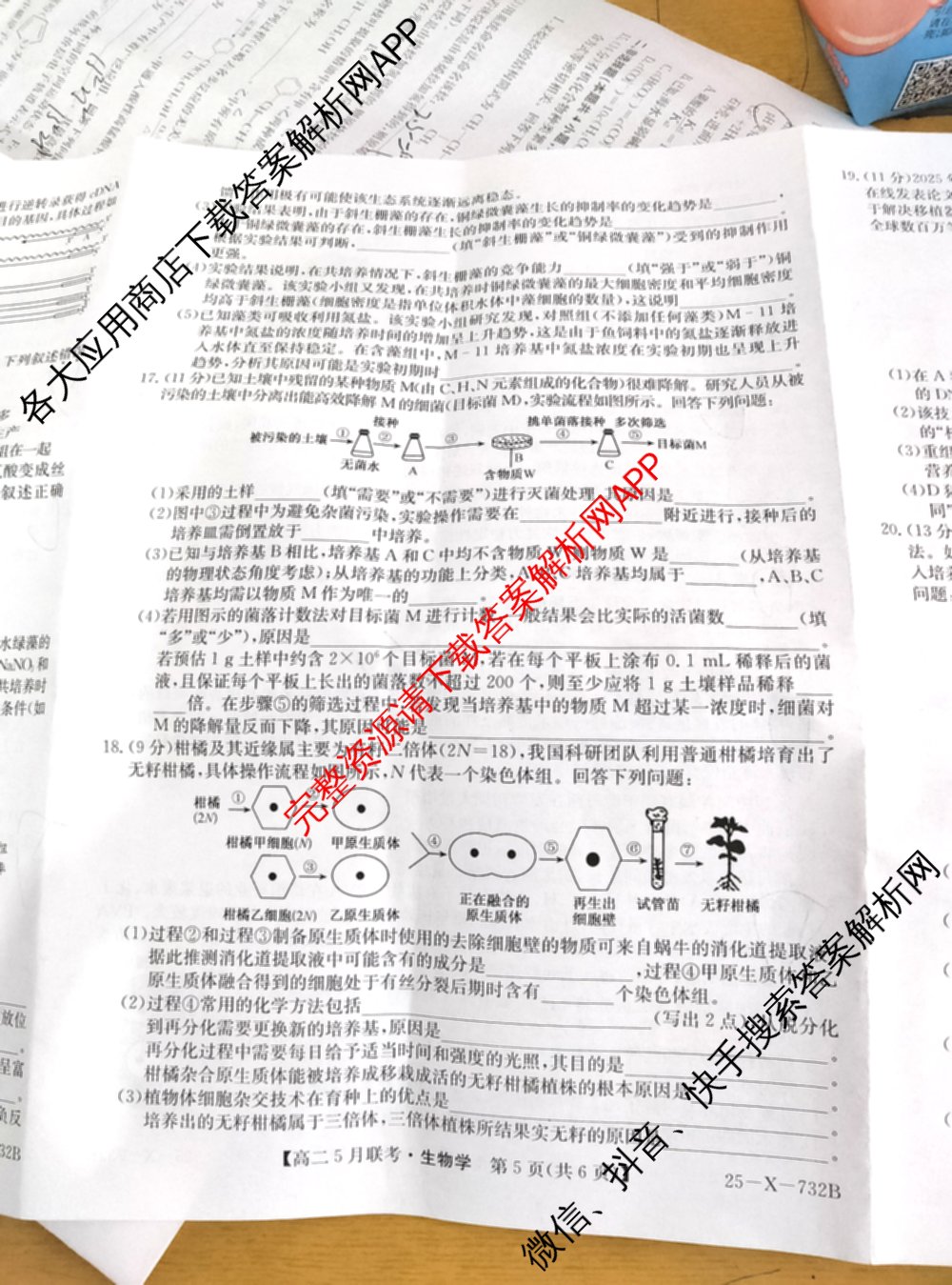 [安徽县中联盟]2024~2025学年度第二学期高二5月联考(25-X-732B)（含历史 数学(A卷) 化学(A卷)等）生物试题