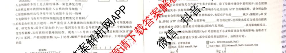 百师联盟2026届高三仿真模拟考试(四)试卷及答案汇总（含政治(百N) 物理(百F) 英语(百B)等）生物试题