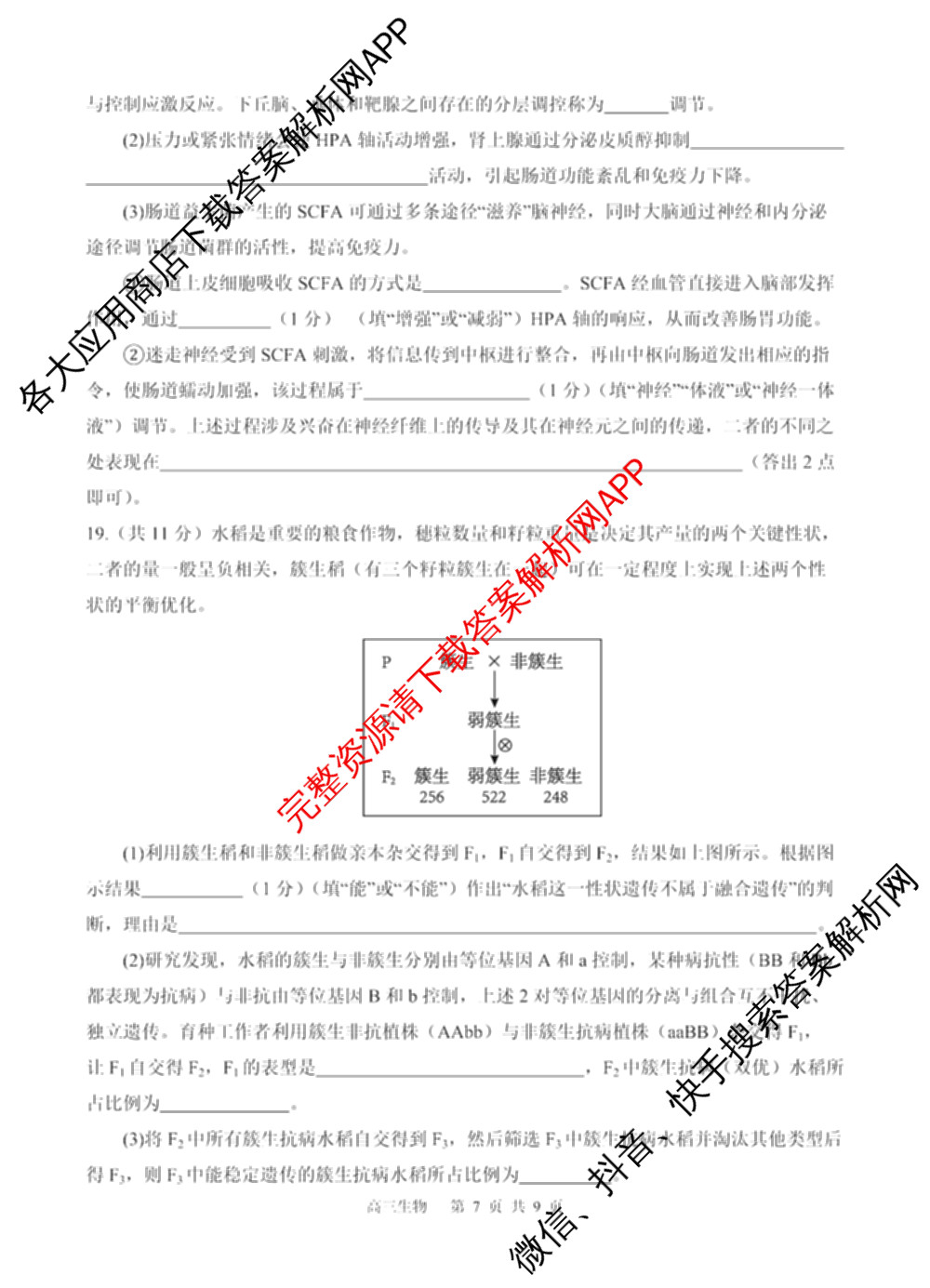射洪中学高2023级高三上期期中考试试卷及答案汇总: 含地理 生物 英语试卷解析生物试题