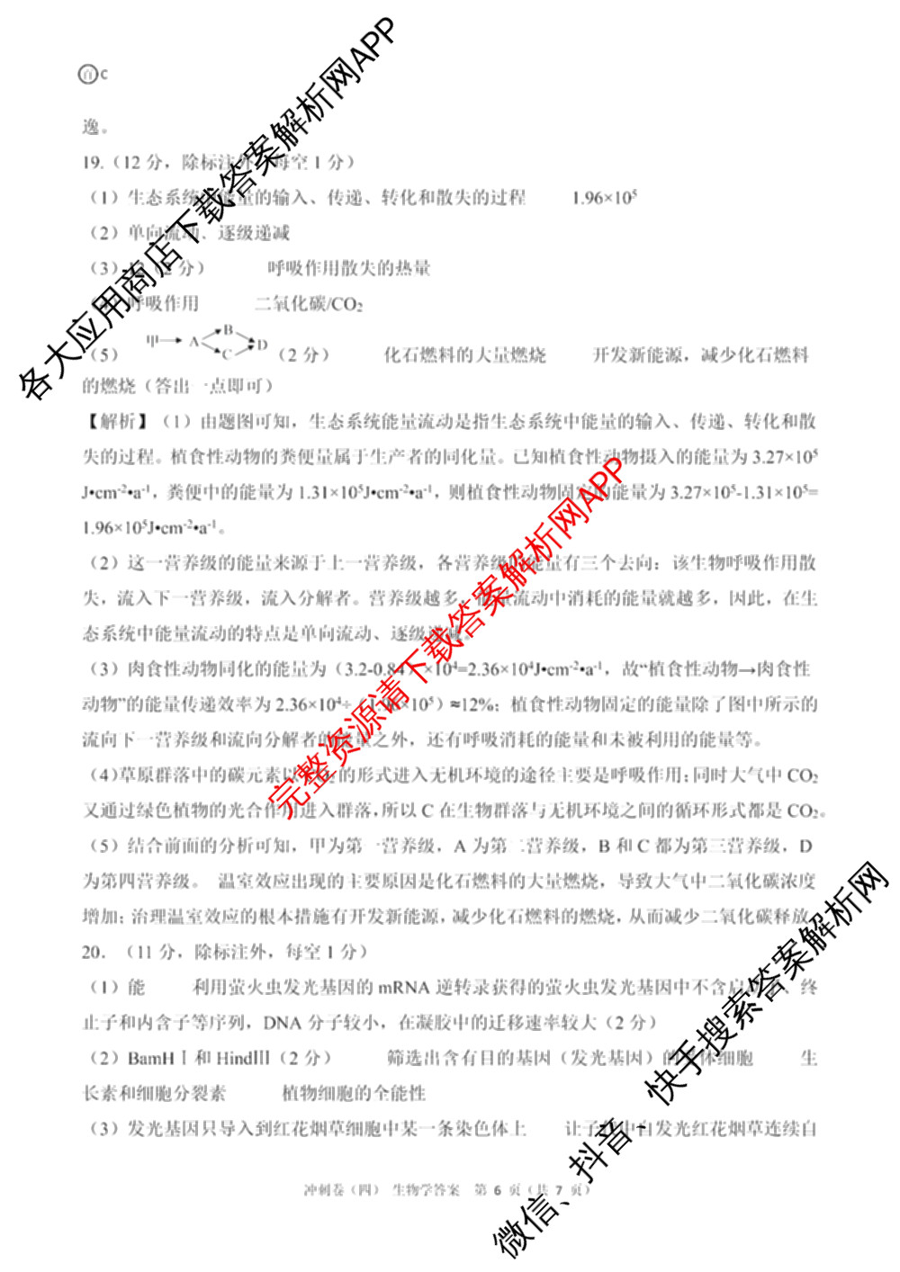 百师联盟2025届高三冲刺卷(四)4试卷及答案汇总（39科全）生物答案
