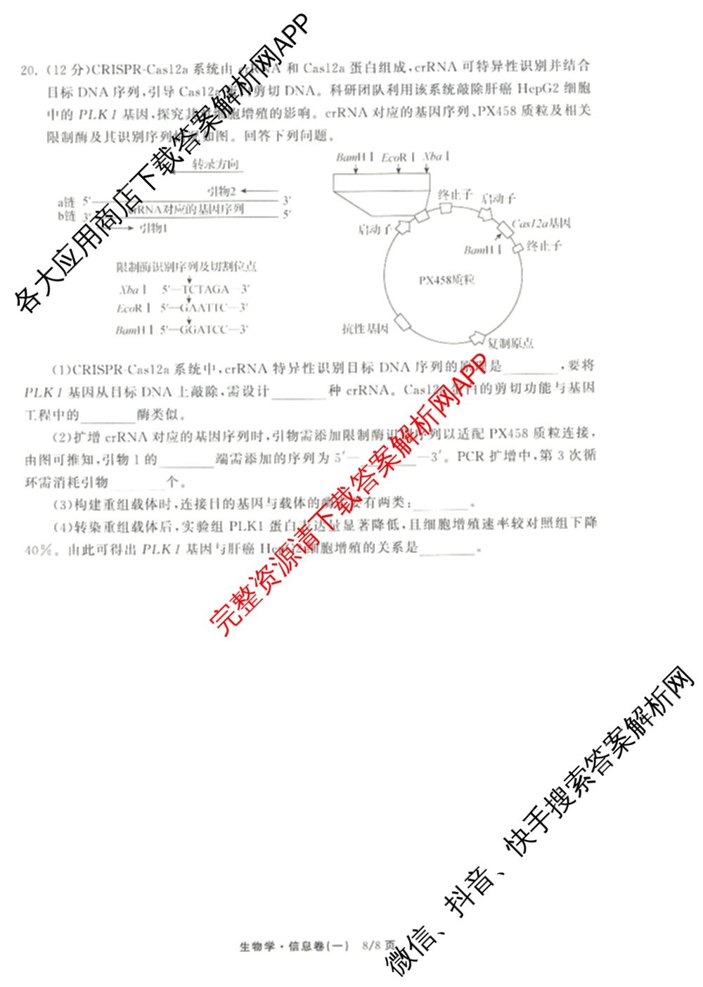 天舟高考衡中同卷2026年普通高等学校招生全国统一考试模拟信息卷(一)1（含数学(无字母)、物理(安徽版)、生物(WY)等34份）生物试题