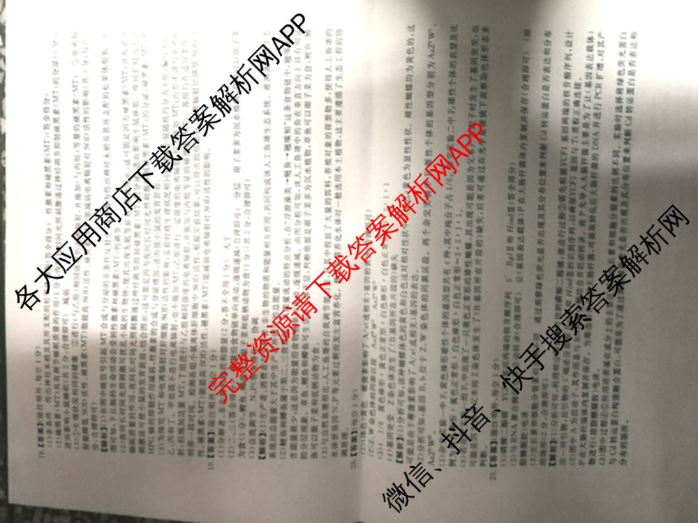 陕西省2025届高考仿真卷(三)各科答案及试卷（11科全）生物答案