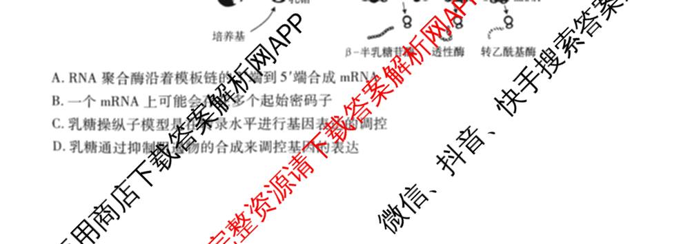 重庆市高2026届高三第三次质量检测(2025.11)各科答案及试卷（含物理 生物 英语等）生物试题