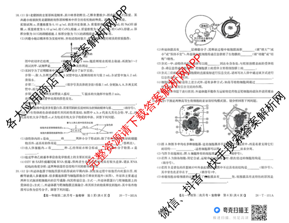 江西省2025级高一年级第二次月考(26-T-351A)（9科全）生物试题