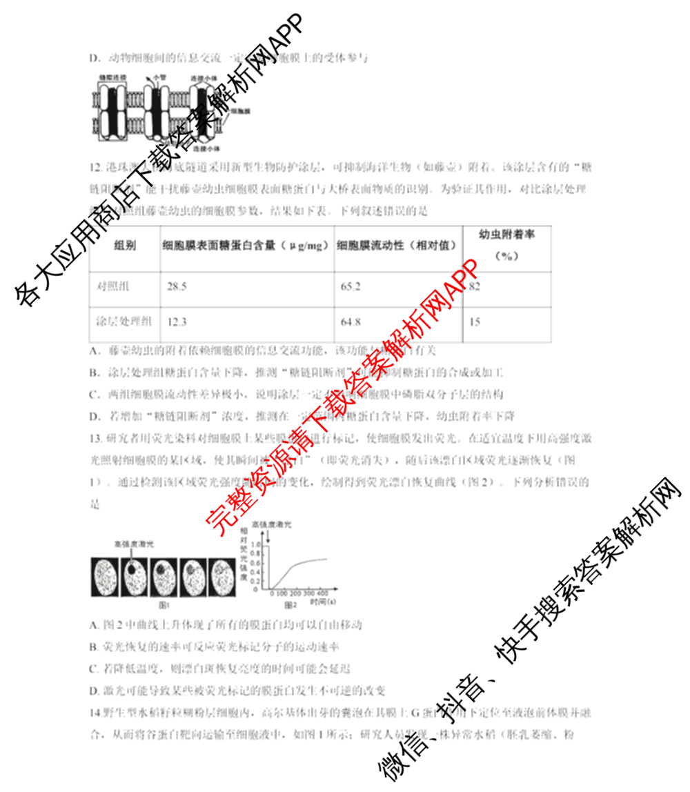 重庆一中高2028届高一上期期中考试（含地理、数学、语文等9份）生物试题