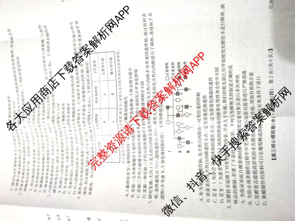 九师联盟2025~2026学年高三核心模拟卷(中)(四)（含政治(D4) 物理(HF) 语文等）生物试题