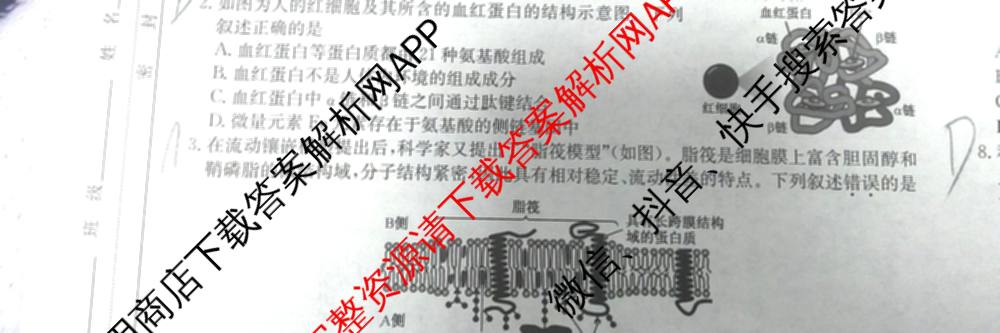 耀正文化2026届高三年级12月名校阶段检测试卷及答案汇总（含日语 数学 地理等10份）生物试题