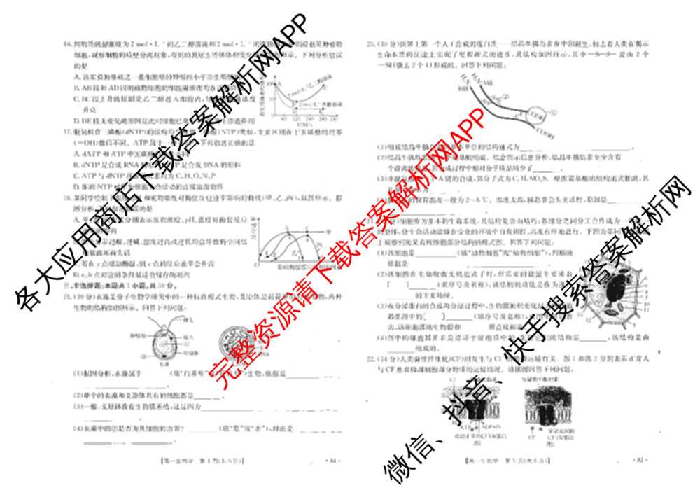 河北省2025-2026学年高一年级12月联考(12.17)(已更新物理 化学 历史等10份)生物试题